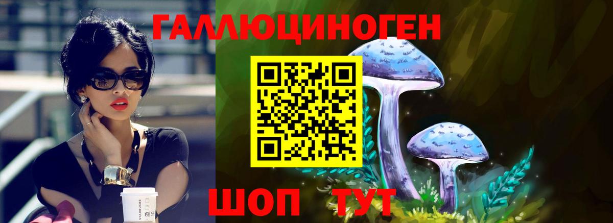Галлюциногенные грибы Magic Shrooms  как найти закладки  Псилоцибиновые грибы Magic Shrooms  Магнитогорск  Вход с VPN 